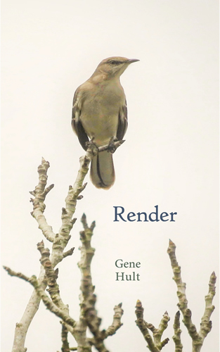 Render by Gene Hult